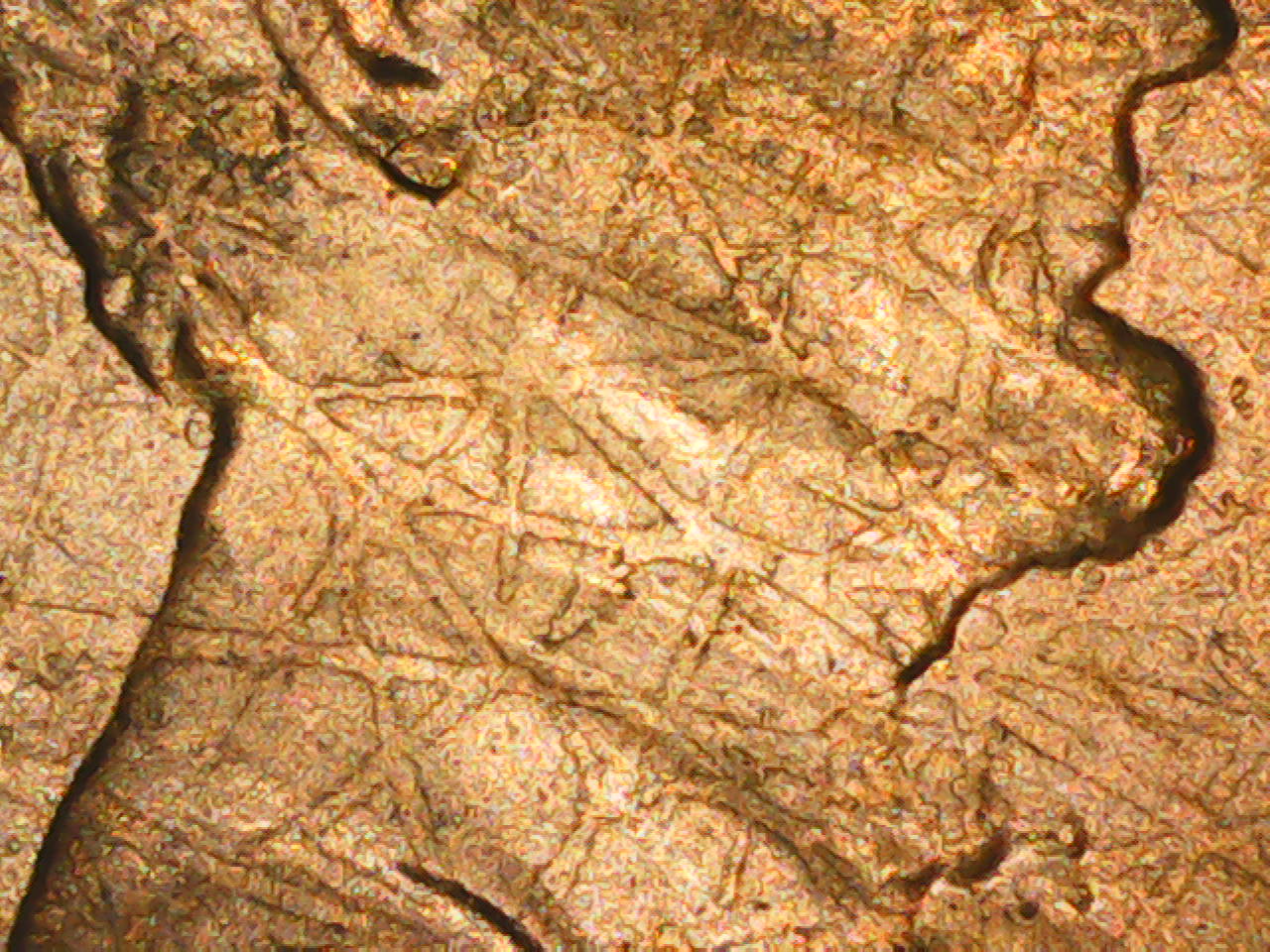 2021-Lincoln-With-Spider-Web-On-Obverse